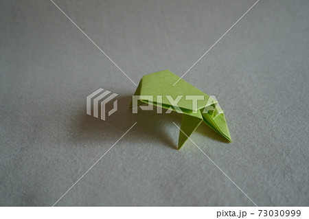 折り紙カエルの写真素材