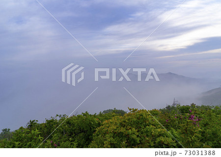 空 山 雲海 73031388