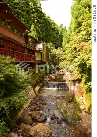 山中の川のせせらぎ 山中の川のせせらぎ 73031629
