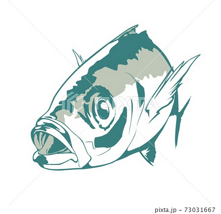 アジ 3色のイラスト素材