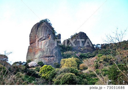 不動岩とさくら 不動岩とさくら 73031686