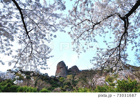 不動岩とさくら 不動岩とさくら 73031687