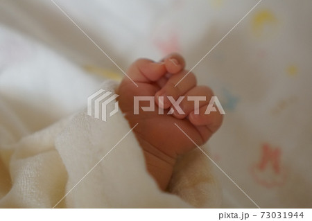 赤ちゃんの手の写真素材