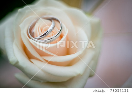 Wedding rings macro photography 73032131