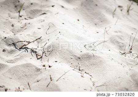 Top view Blur Sand on beach dune with blotches of dry grass shadows, soft focus texture. Background for web design wallpaper screensaver. Toned photo light 73032820