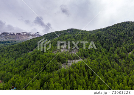 Aerial scenery of pine tree forrest in Zermatt valley, Switzerland Aerial scenery of pine tree forrest in Zermatt valley, Switzerland 73033228