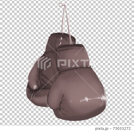 吊るされたボクシンググローブ_セピア 73033272