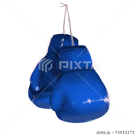 吊るされた_グローブ_ブルー 73033275