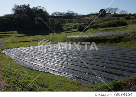 原城の風景 73034154