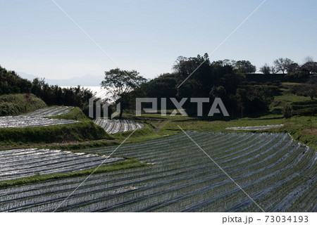 原城の風景 73034193