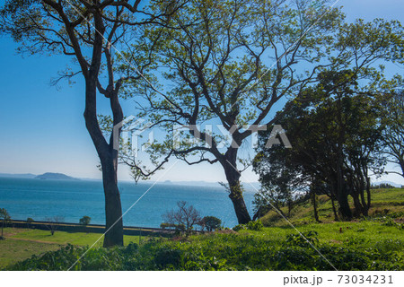 原城の風景 73034231