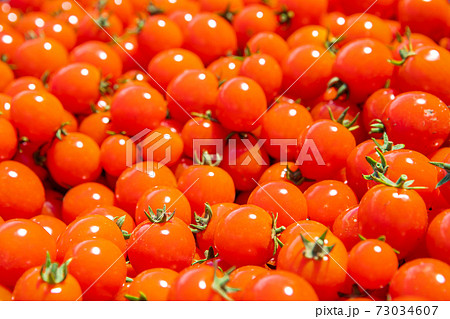background from red ripe tomatoes grown without chemistry background from red ripe tomatoes grown without chemistry 73034607