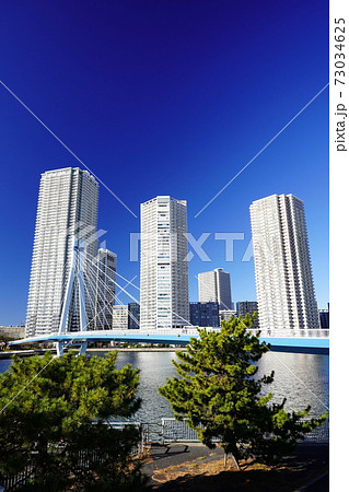 東京ベイエリア　辰巳運河と東雲のタワーマンション 73034625