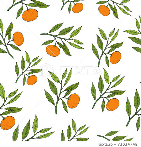 Mandarine seamless pattern 73034748