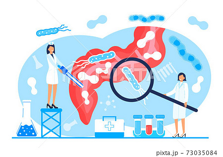 Tiny doctors give stomach probiotic bacteria, lactobacillus. Healthcare landing page, immunity support concept vector for horizontal banner, poster, flyer, website. 73035084