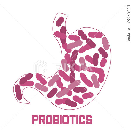 Stomach is getting probiotic bacteria, lactobacillus. Healthcare logo, immunity support concept vector for banner, poster, flyer, website. Symbol of useful milk Stomach is getting probiotic bacteria, lactobacillus. Healthcare logo, immunity support concept vector for banner, poster, flyer, website. Symbol of useful milk 73035411