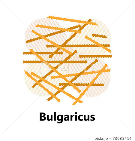 Probiotics bacteria. Lactobacillus, bulgaricus logo with text. Amorphous symbols for milk products are shown such as yogurt, acidophilus. Lactococcus, propionibacterium are shown. Probiotics bacteria. Lactobacillus, bulgaricus logo with text. Amorphous symbols for milk products are shown such as yogurt, acidophilus. Lactococcus, propionibacterium are shown. 73035414