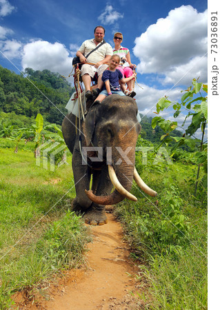 Riding an elephant. A young family with a child ride an elephant. 73036891