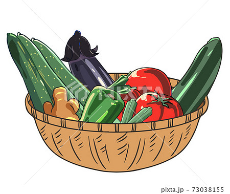 夏野菜セット 夏野菜セット 73038155
