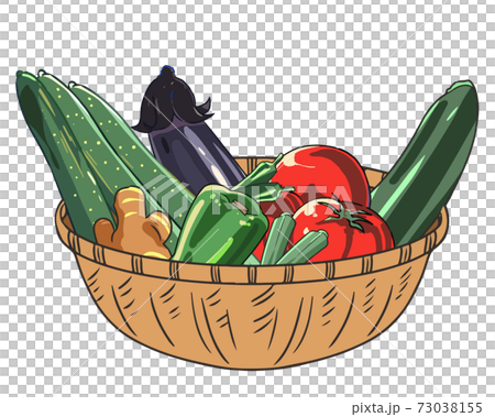 夏野菜セット 夏野菜セット 73038155