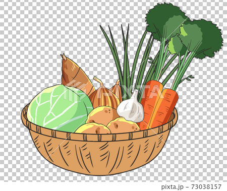 Spring vegetable set Spring vegetable set 73038157