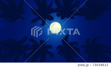 Palm treetops under full moon looking up view 3D Palm treetops under full moon looking up view 3D 73038613