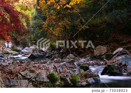 【高槻市】秋の摂津峡渓谷　 73038923