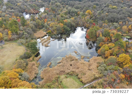 裏磐梯のレンゲ沼の紅葉空撮 裏磐梯のレンゲ沼の紅葉空撮 73039227
