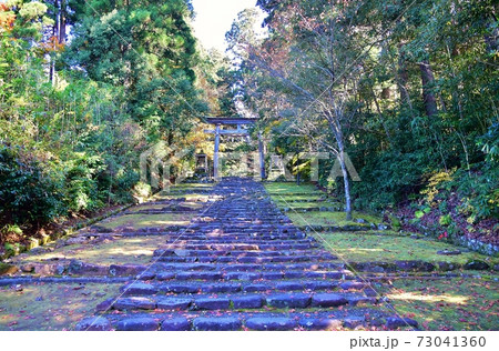 平泉寺白山神社 73041360