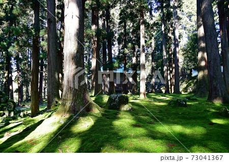 平泉寺白山神社 73041367