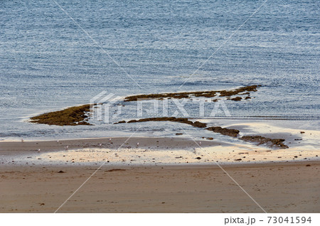 Low tide - Torquay Low tide - Torquay 73041594