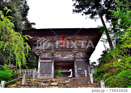 妙成寺 妙成寺 73042626
