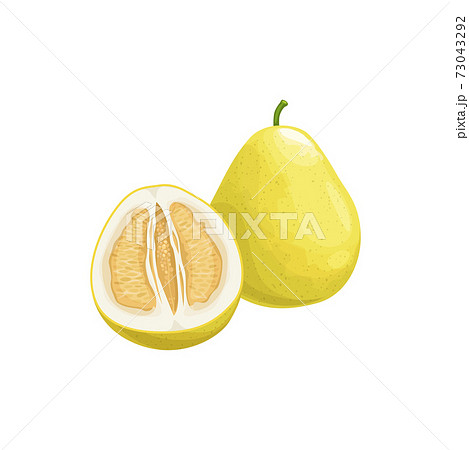 Pomelo fruit, tropical exotic citrus fruits food 73043292