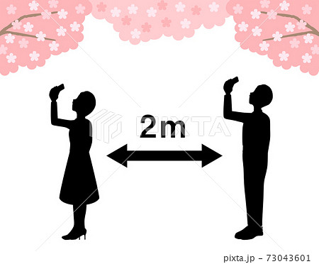 Men and women taking pictures of cherry blossoms Men and women taking pictures of cherry blossoms 73043601