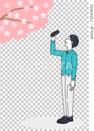 櫻花 櫻 賞櫻 73043602