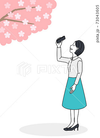 woman taking a picture of cherry blossoms 73043605