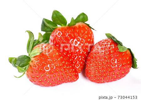 いちご(あまりん) いちご(あまりん) 73044153