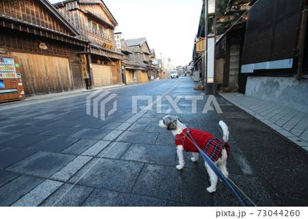 おかげ横丁と愛犬 73044260