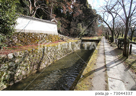 哲学の道 哲学の道 73044337