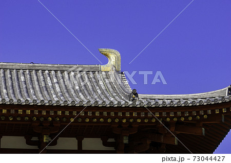 薬師寺 金堂 奈良県奈良市 薬師寺 金堂 奈良県奈良市 73044427
