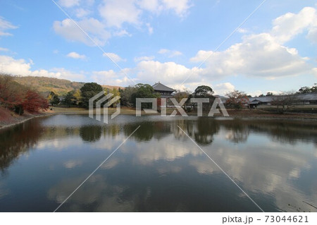 東大寺大仏殿 東大寺大仏殿 73044621