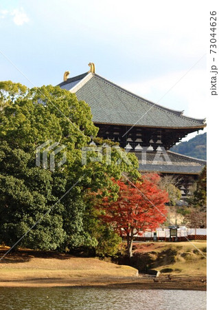 東大寺大仏殿 東大寺大仏殿 73044626