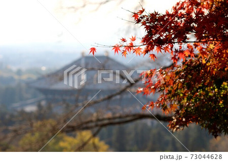 東大寺大仏殿 73044628