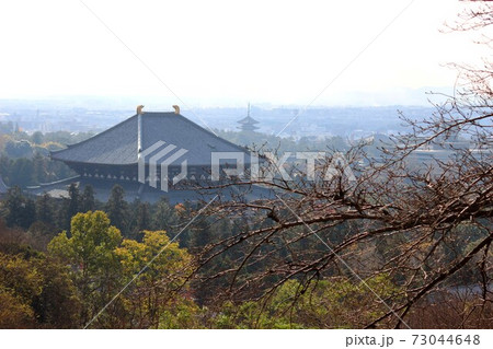 東大寺大仏殿 東大寺大仏殿 73044648