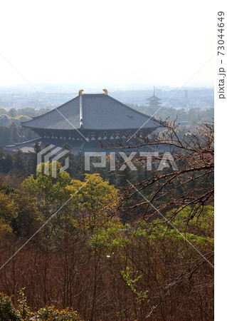 東大寺大仏殿 東大寺大仏殿 73044649