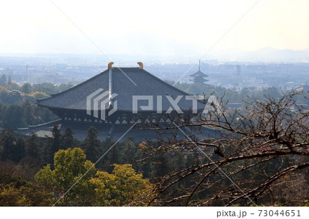東大寺大仏殿 東大寺大仏殿 73044651