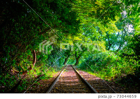 旧国鉄倉吉線廃線跡 旧国鉄倉吉線廃線跡 73044659