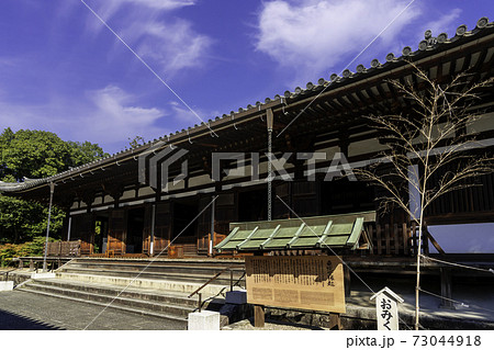 薬師寺 東院堂 奈良県奈良市 薬師寺 東院堂 奈良県奈良市 73044918