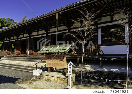 薬師寺 東院堂 奈良県奈良市 薬師寺 東院堂 奈良県奈良市 73044921