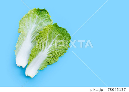 Chinese cabbage on blue background. Copy space Chinese cabbage on blue background. Copy space 73045137